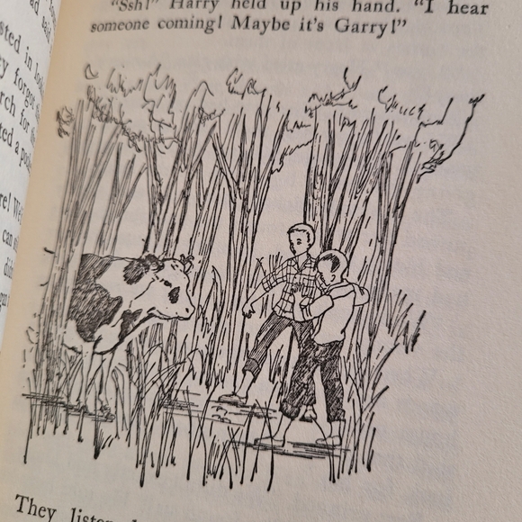The Bobbsey Twins.  The Secret of the Seashore. Vintage. 1962. - Picture 7 of 8